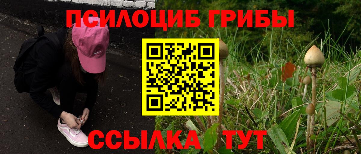 Луховицы  Псилоцибиновые грибы Psilocybe  Вход с VPN 