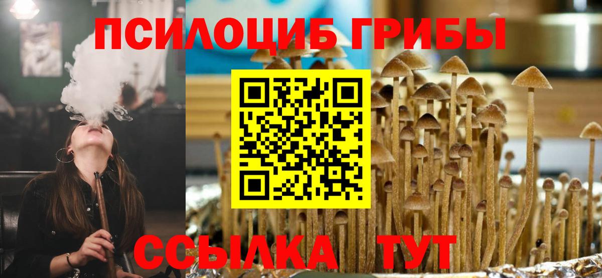 Галлюциногенные грибы Magic Shrooms Луховицы